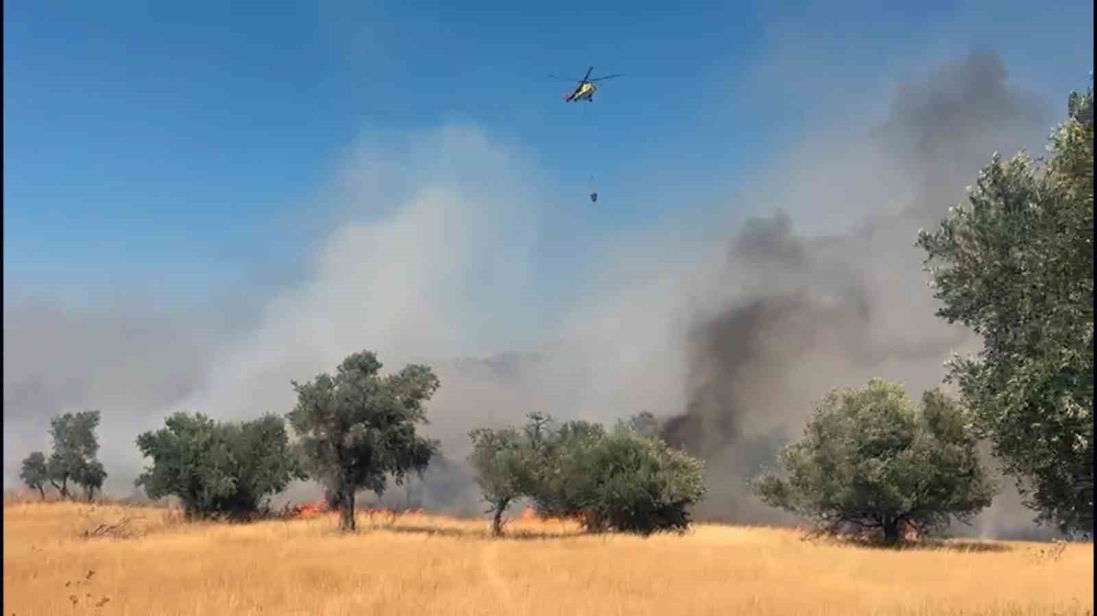 Milas Pınarcık yangınına 5 helikopter 4 uçak müdahale ediyor