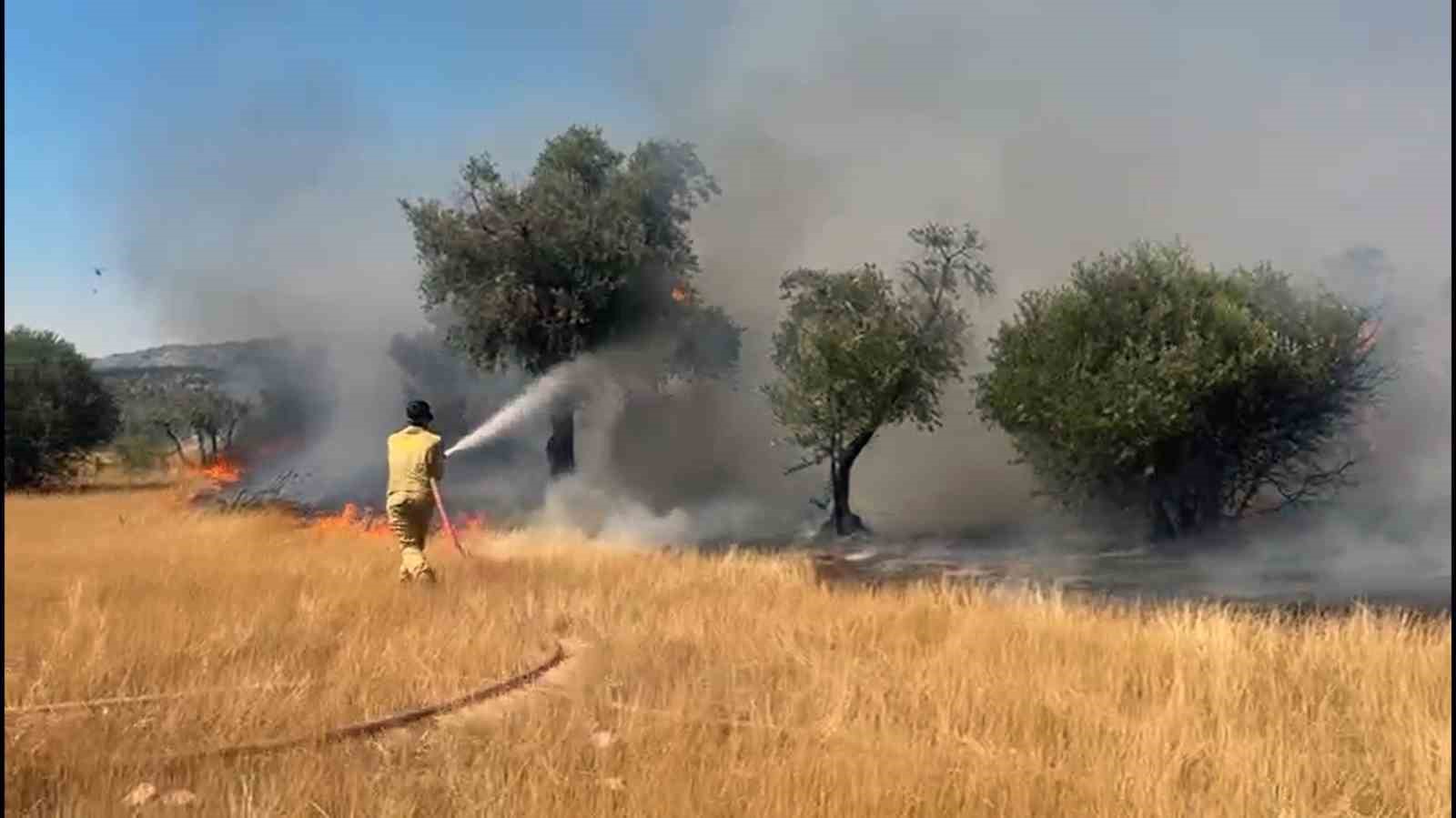 Milas Pınarcık yangınına 5 helikopter 4 u&ccedil;ak m&uuml;dahale ediyor
