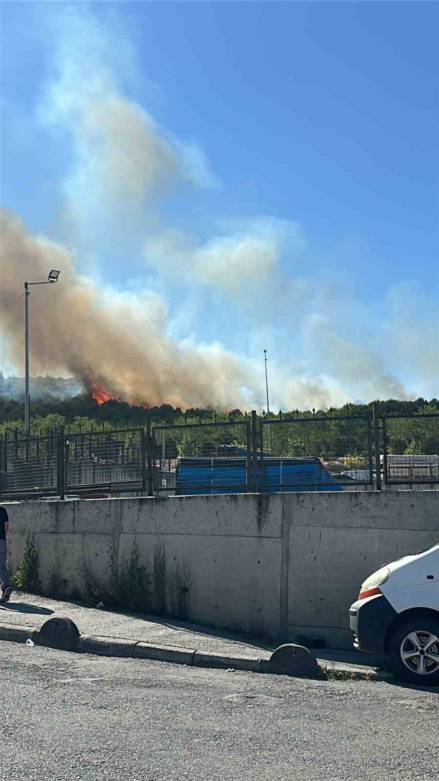 Kocaeli’de orman yangını çıktı