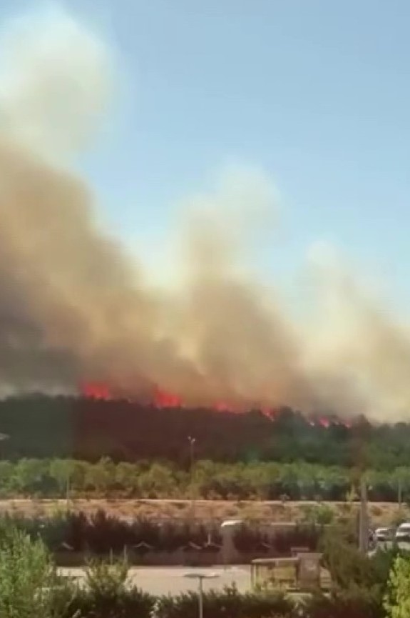 Kocaeli’de orman yangını çıktı