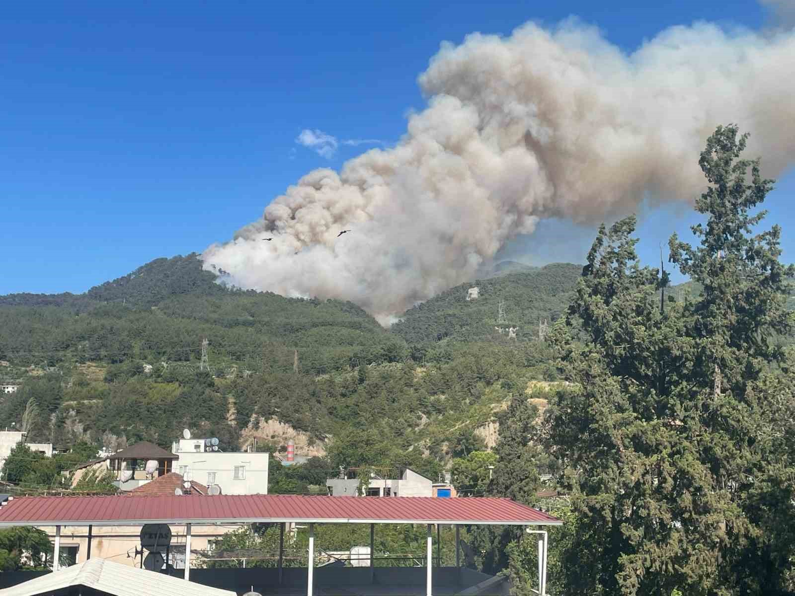 Hatay’da orman yangını