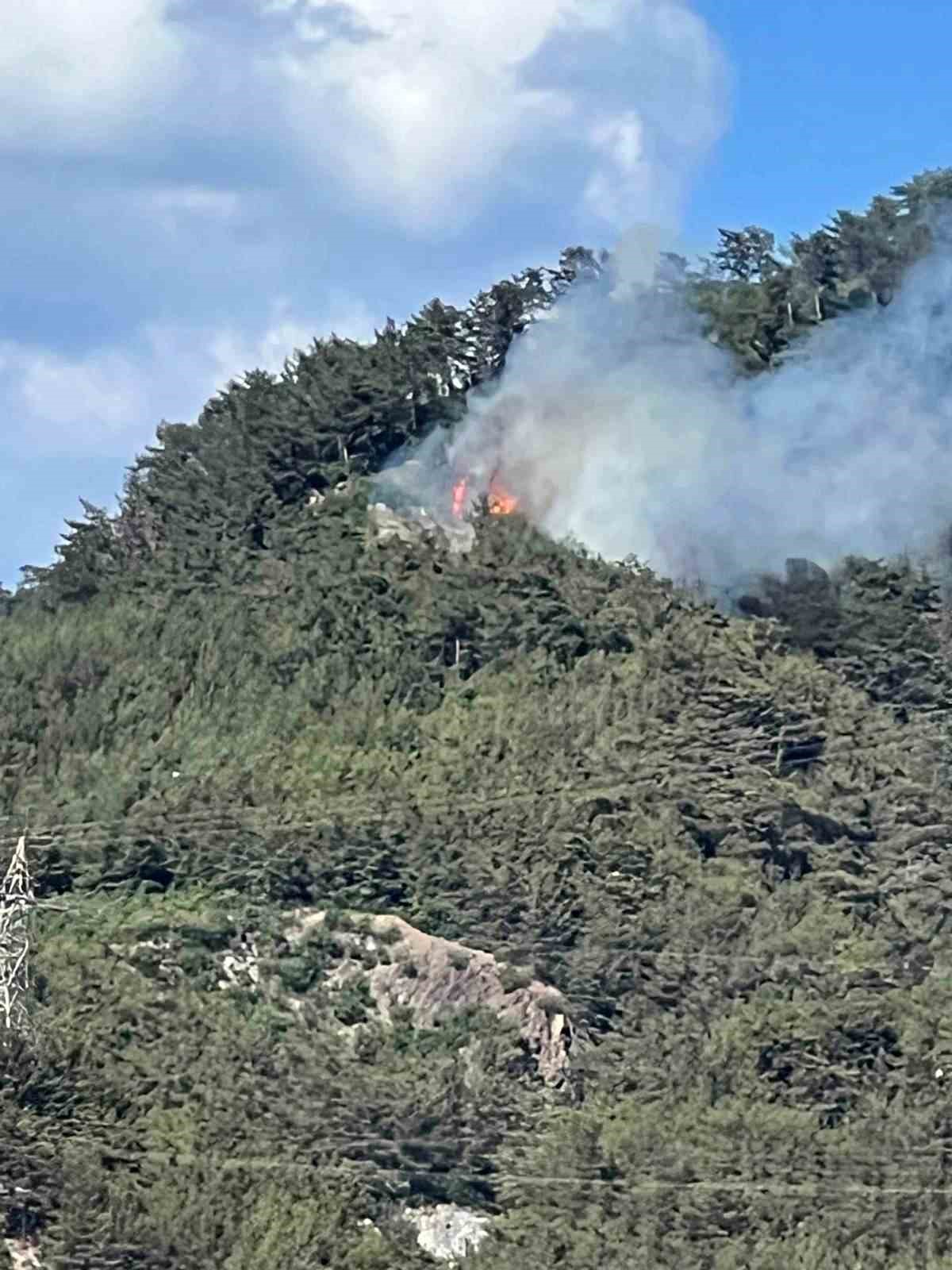 Hatay&rsquo;da orman yangını
