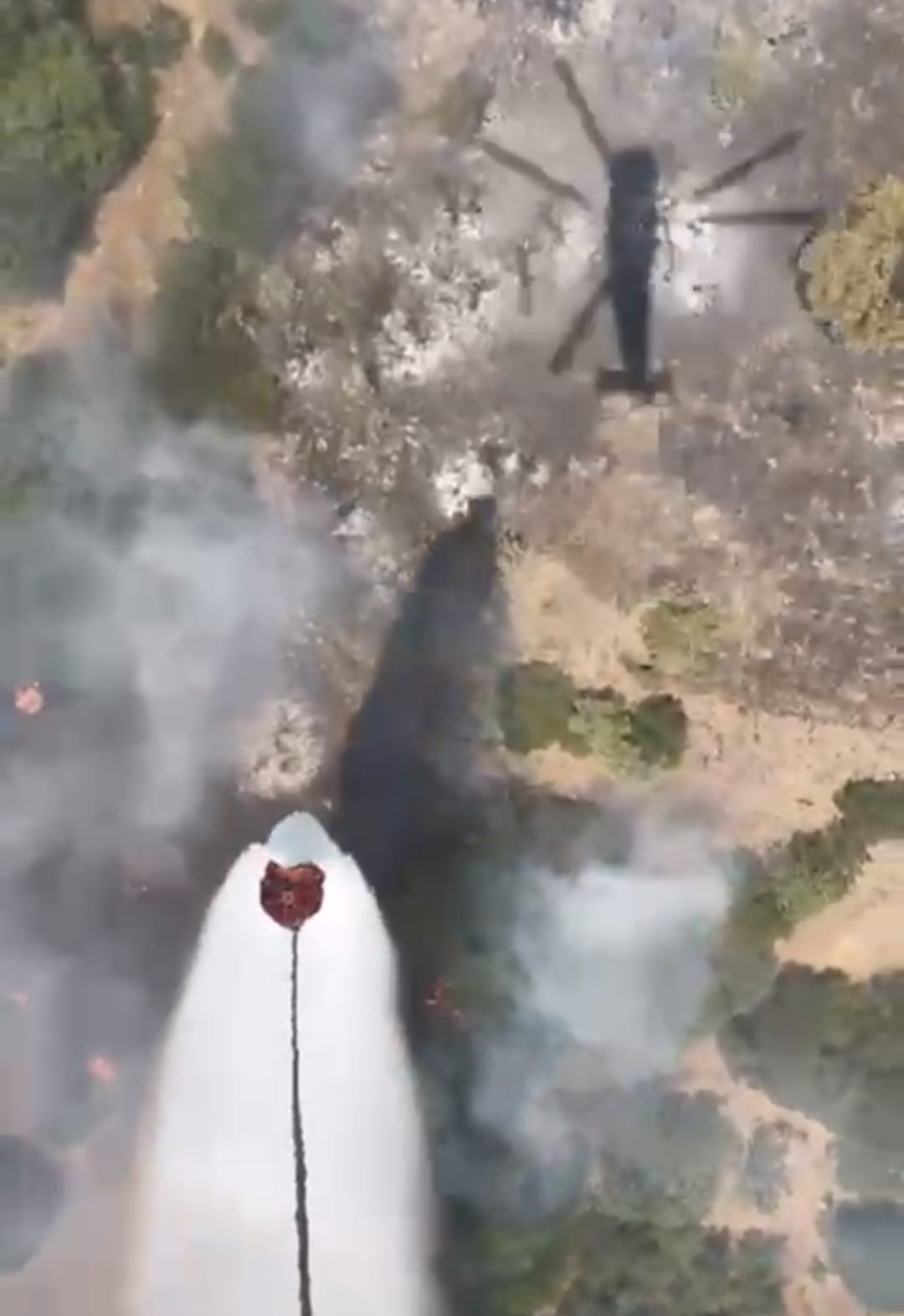 Balıkesir’de orman yangını kontrol altına alındı