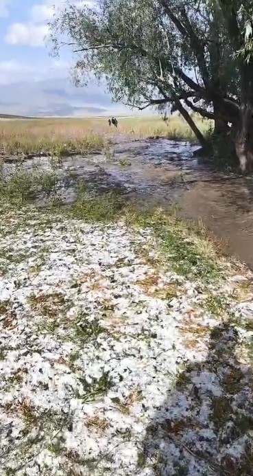 Sarıkamış’ta sağanak yağış sele neden oldu: Evler ve tarım arazileri sular altında kaldı