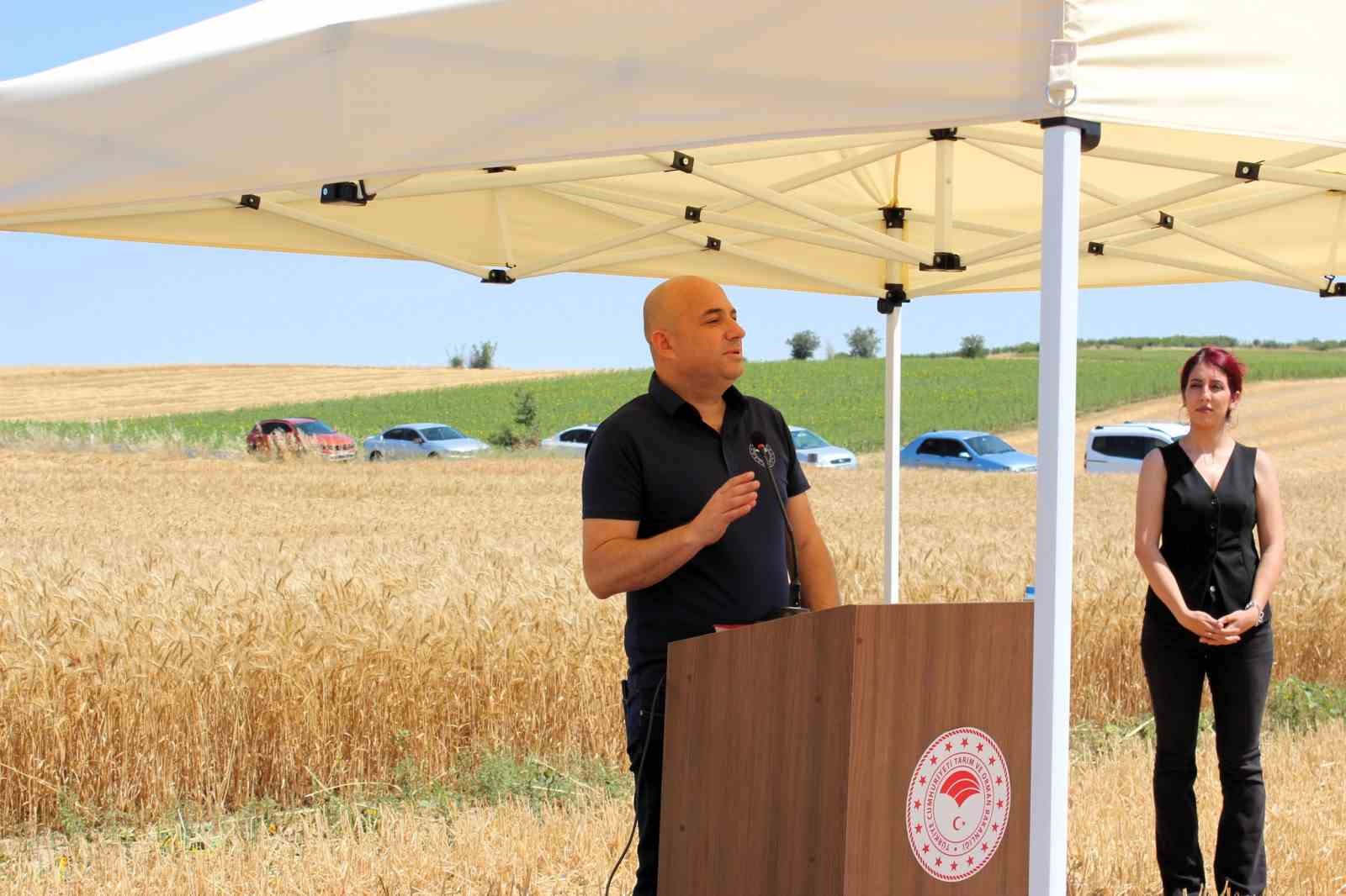 Kırklareli’nde yerli ve milli buğday hasadı yapıldı