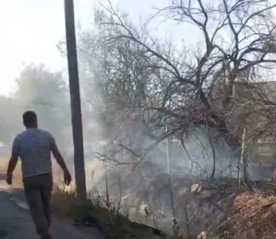 Malatya’da bahçe yangını