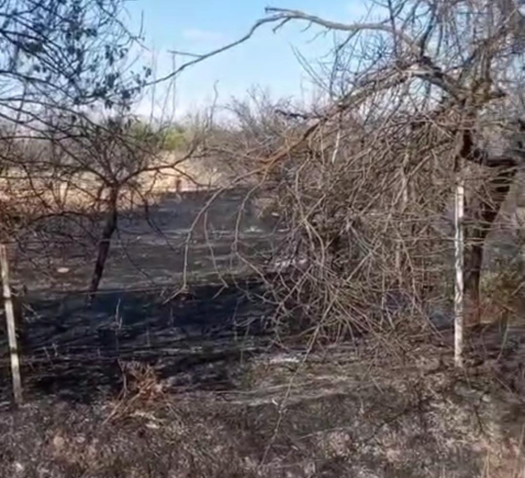 Malatya&rsquo;da bah&ccedil;e yangını
