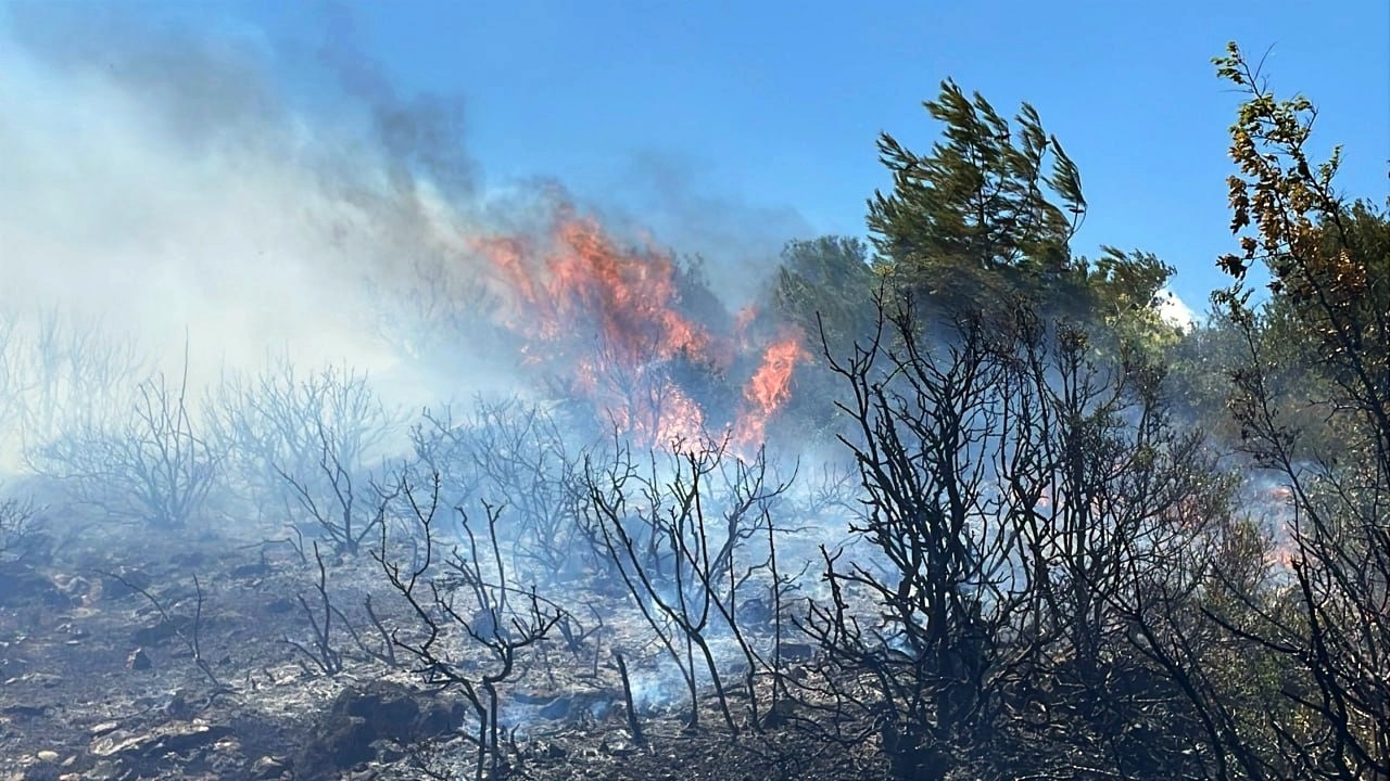 Sakarya’da ormanlık alanda çıkan yangın büyümeden söndürüldü
