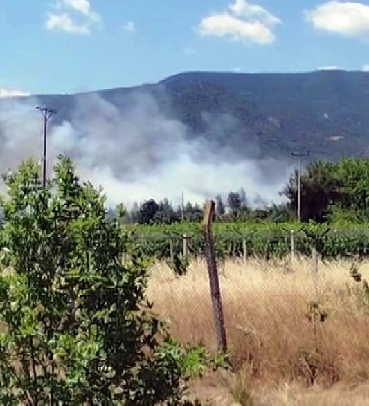 Sakarya&rsquo;da ormanlık alanda &ccedil;ıkan yangın b&uuml;y&uuml;meden s&ouml;nd&uuml;r&uuml;ld&uuml;
