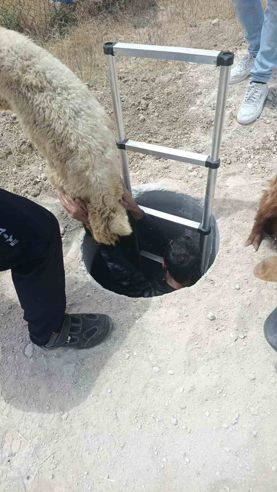 Elazığ&rsquo;da kuyuya d&uuml;şen ke&ccedil;i ve koyunları itfaiye kurtardı
