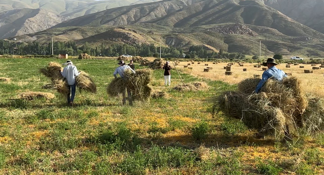 Kızgın güneş altında ekmek mücadelesi