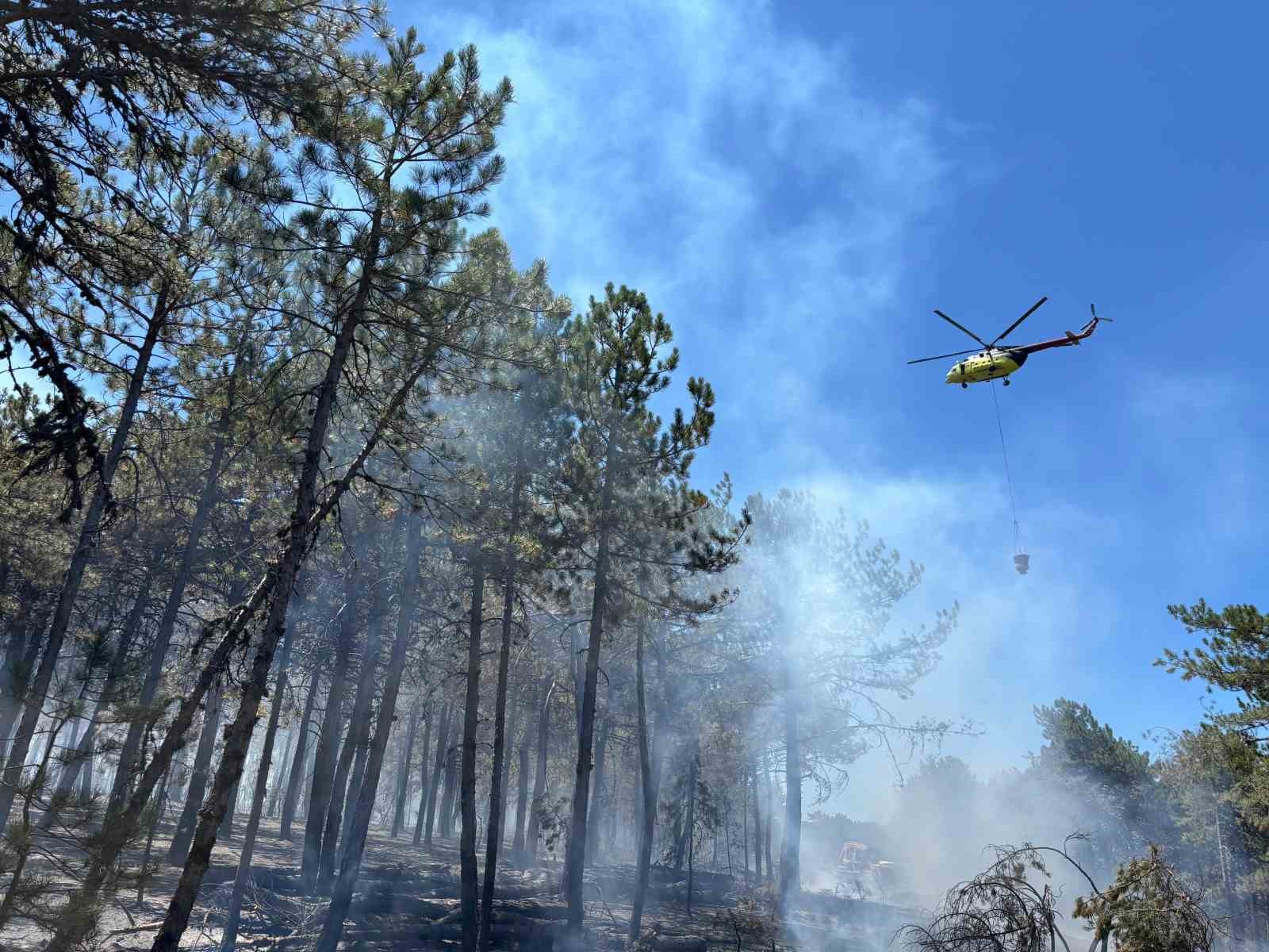 Seyitgazi’deki orman yangını kontrol altına alındı, soğutma çalışmaları sürüyor