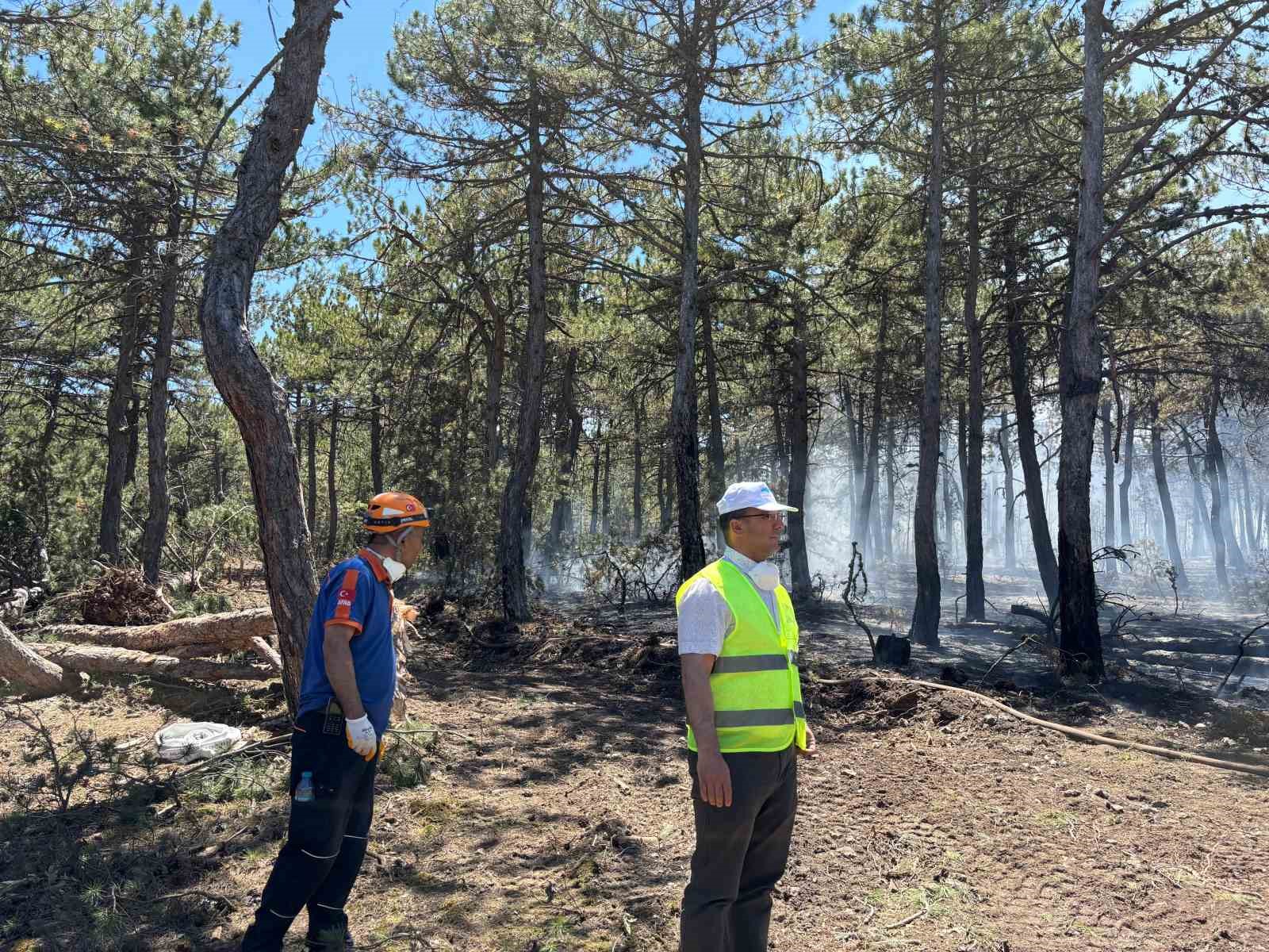 Seyitgazi&rsquo;deki orman yangını kontrol altına alındı, soğutma &ccedil;alışmaları s&uuml;r&uuml;yor
