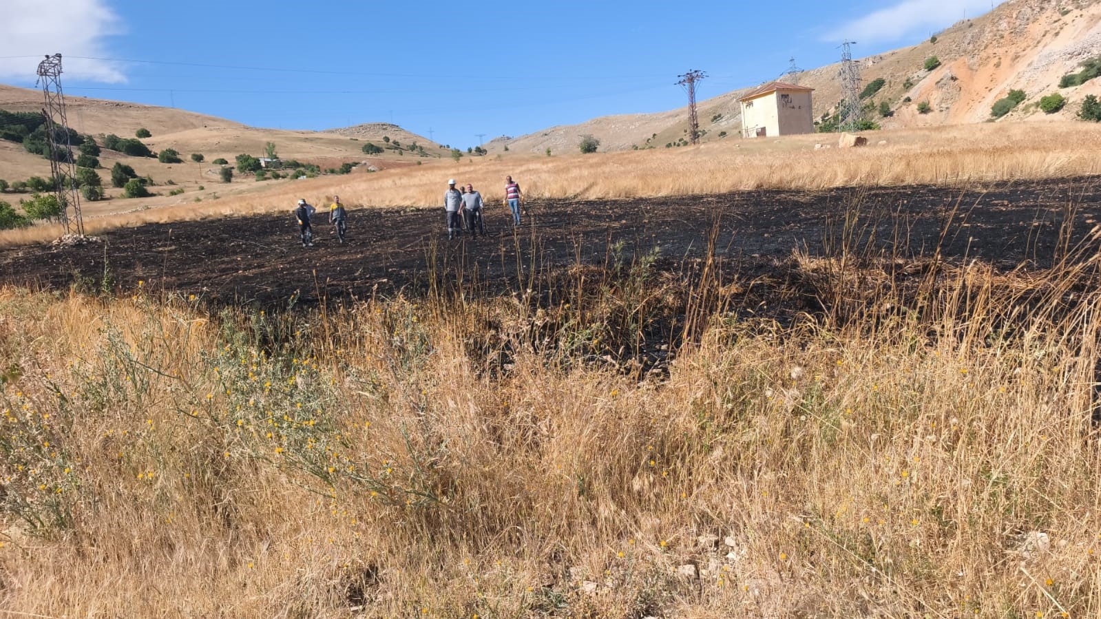 Tunceli’de arazi yangını