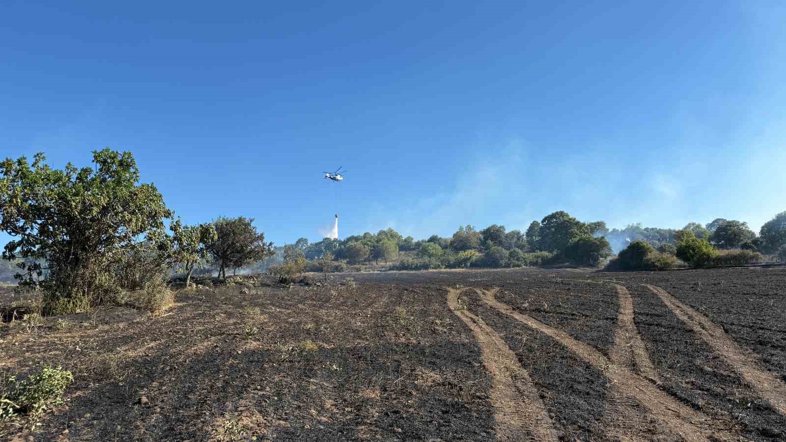 Çanakkale’de tarım arazisinde çıkan yangın kontrol altına alındı