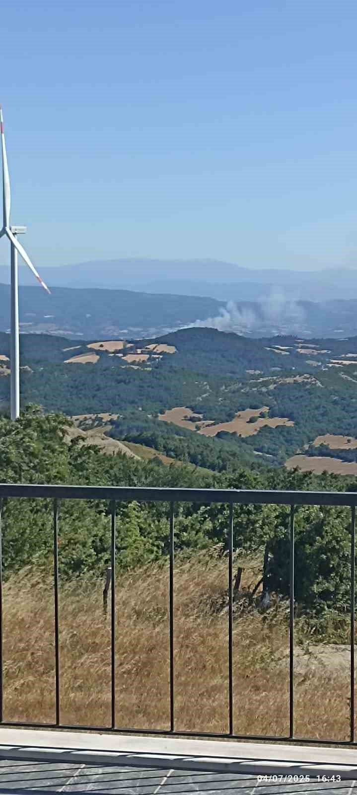 &Ccedil;anakkale&rsquo;de tarım arazisinde &ccedil;ıkan yangın kontrol altına alındı

