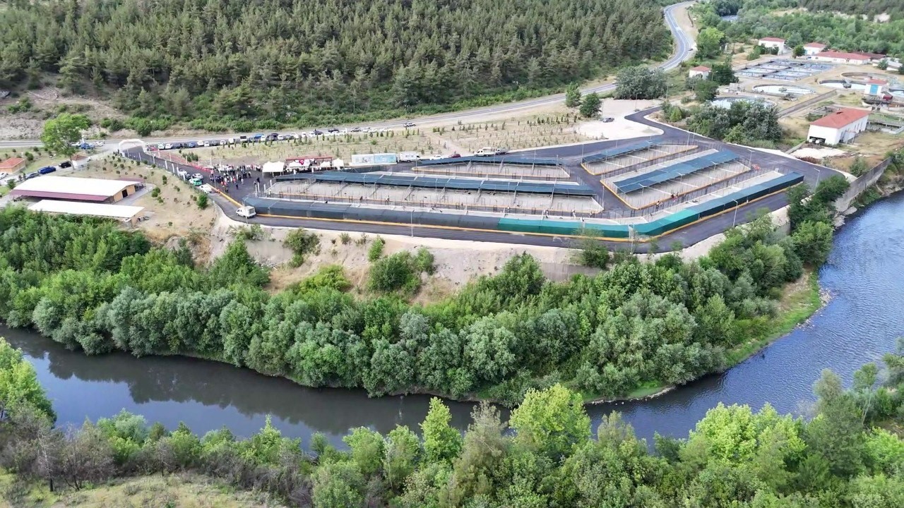 Bu tesiste 3 bin sahipsiz hayvanın barınma, tedavi ve rehabilitasyonu sağlanacak