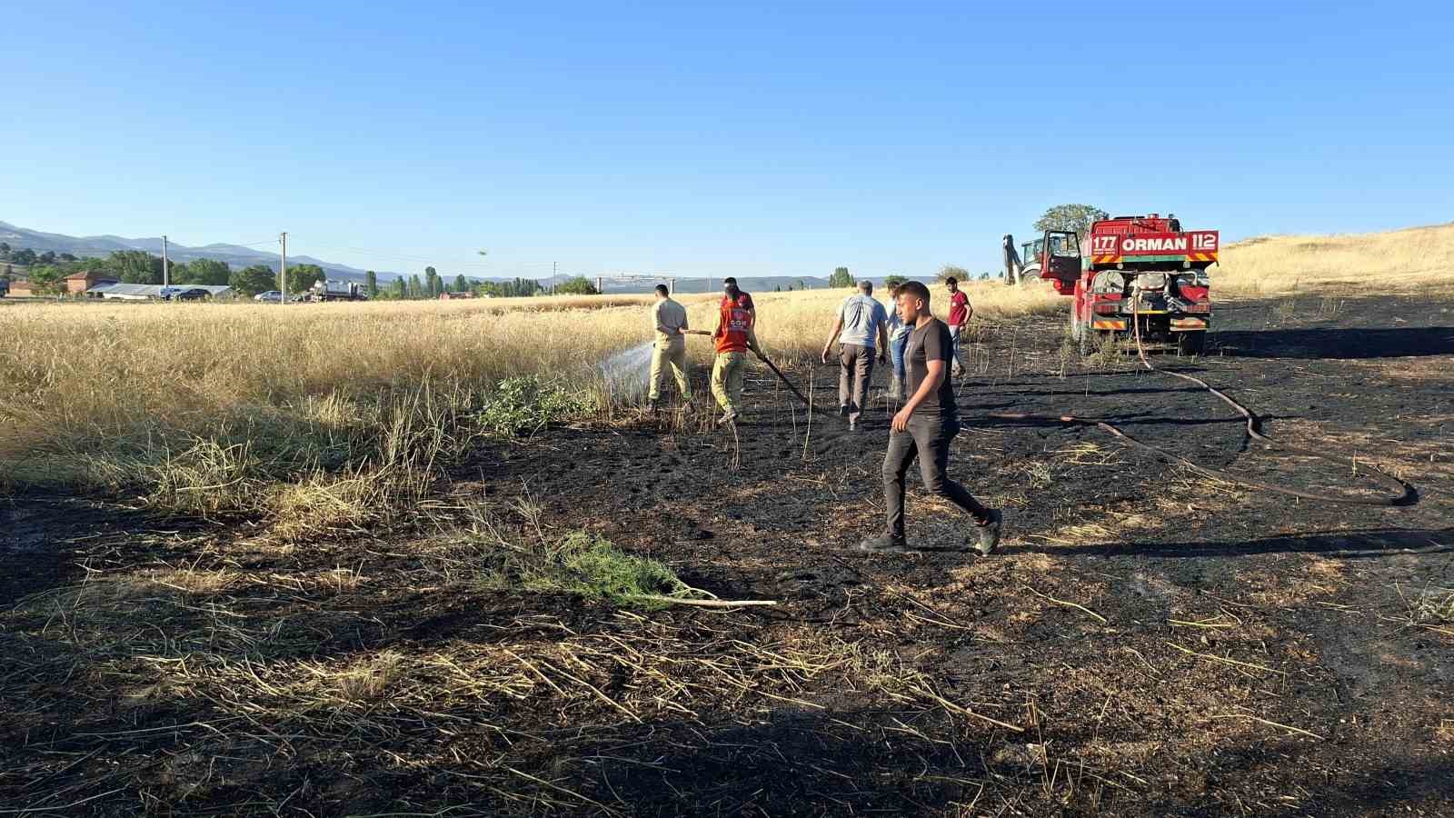 Hisarcık’taki arazi yangınında 7 dekar alan zarar gördü