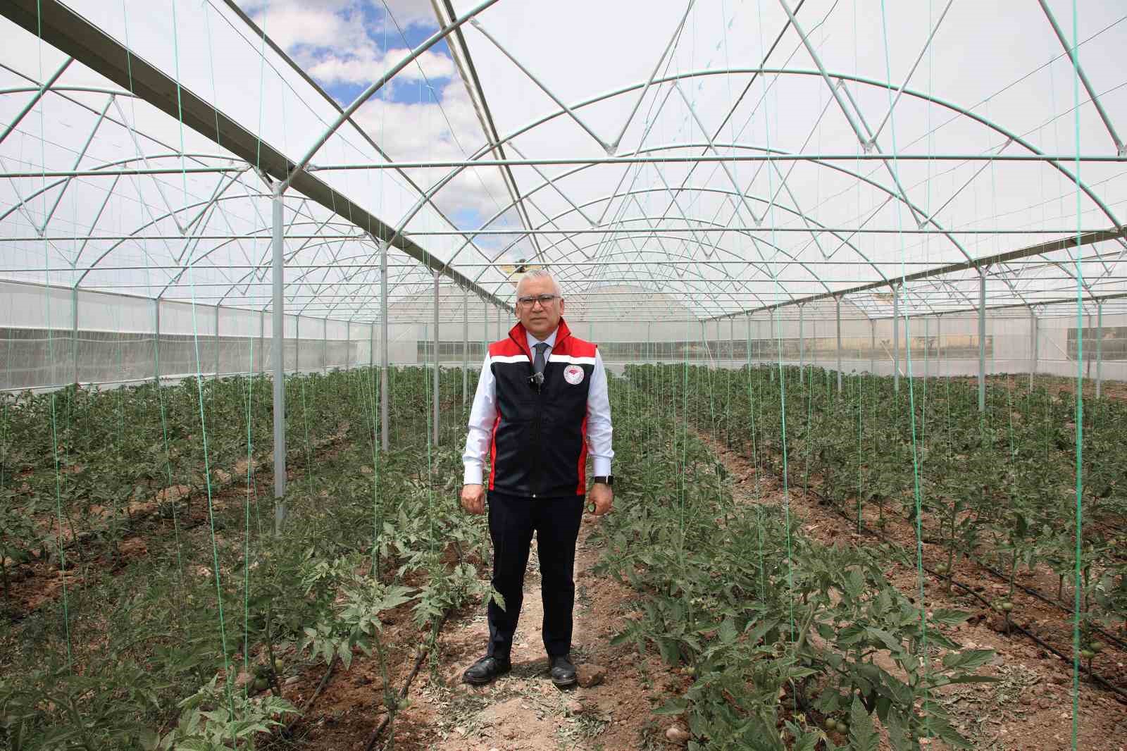 Sivas’ta ilk hububat hasadı Vali Yılmaz Şimşek tarafından gerçekleştirildi
