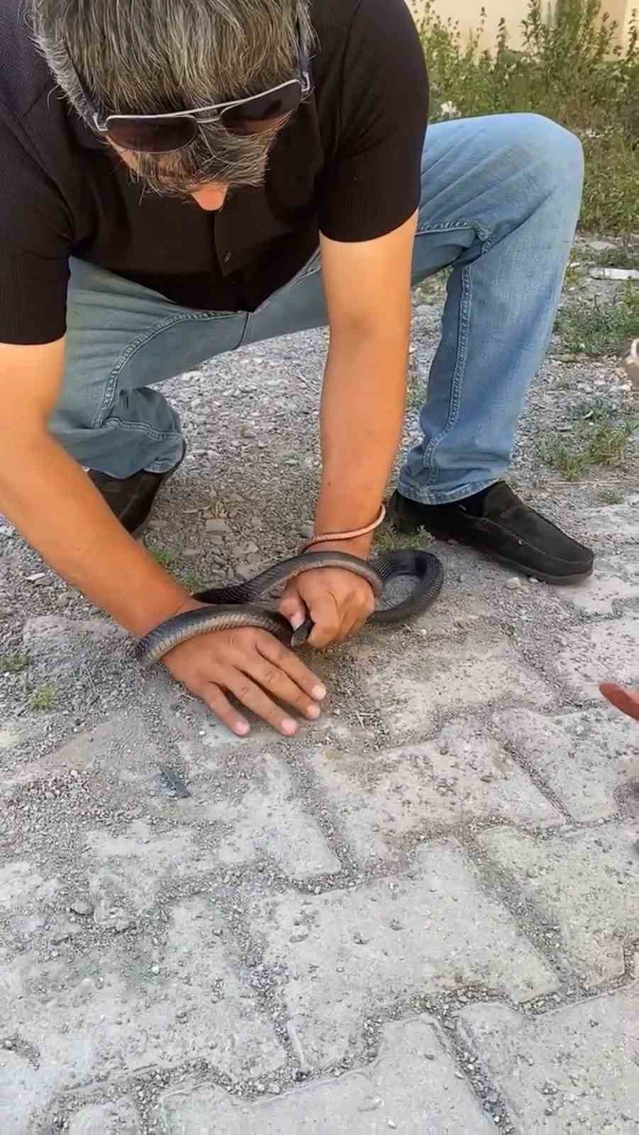 Eve giren yılanı yakalamak isterken parmağını kaptırdı