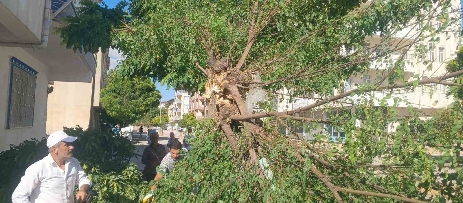 Adıyaman Gölbaşı’nda fırtına etkili oldu