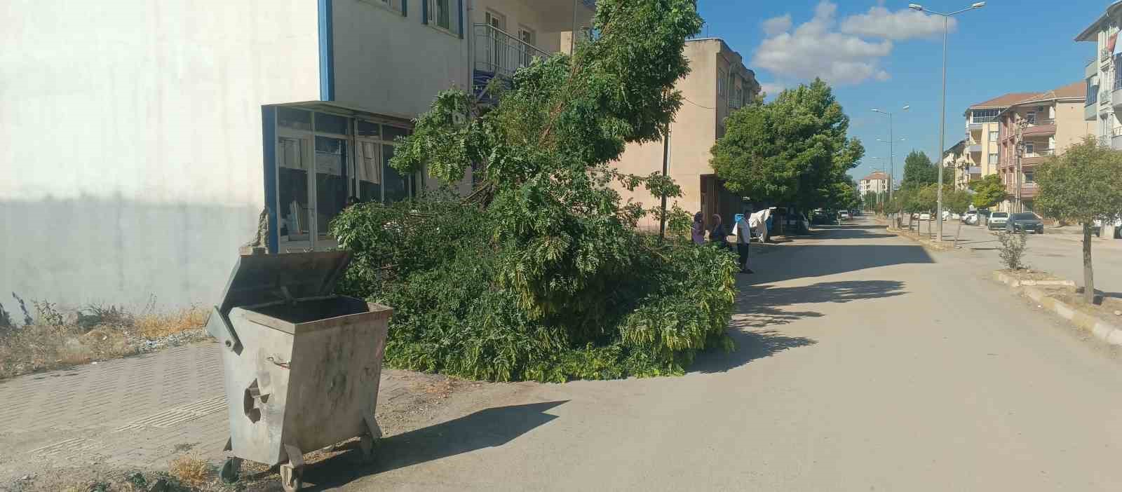 Adyaman Glbanda frtna etkili oldu
