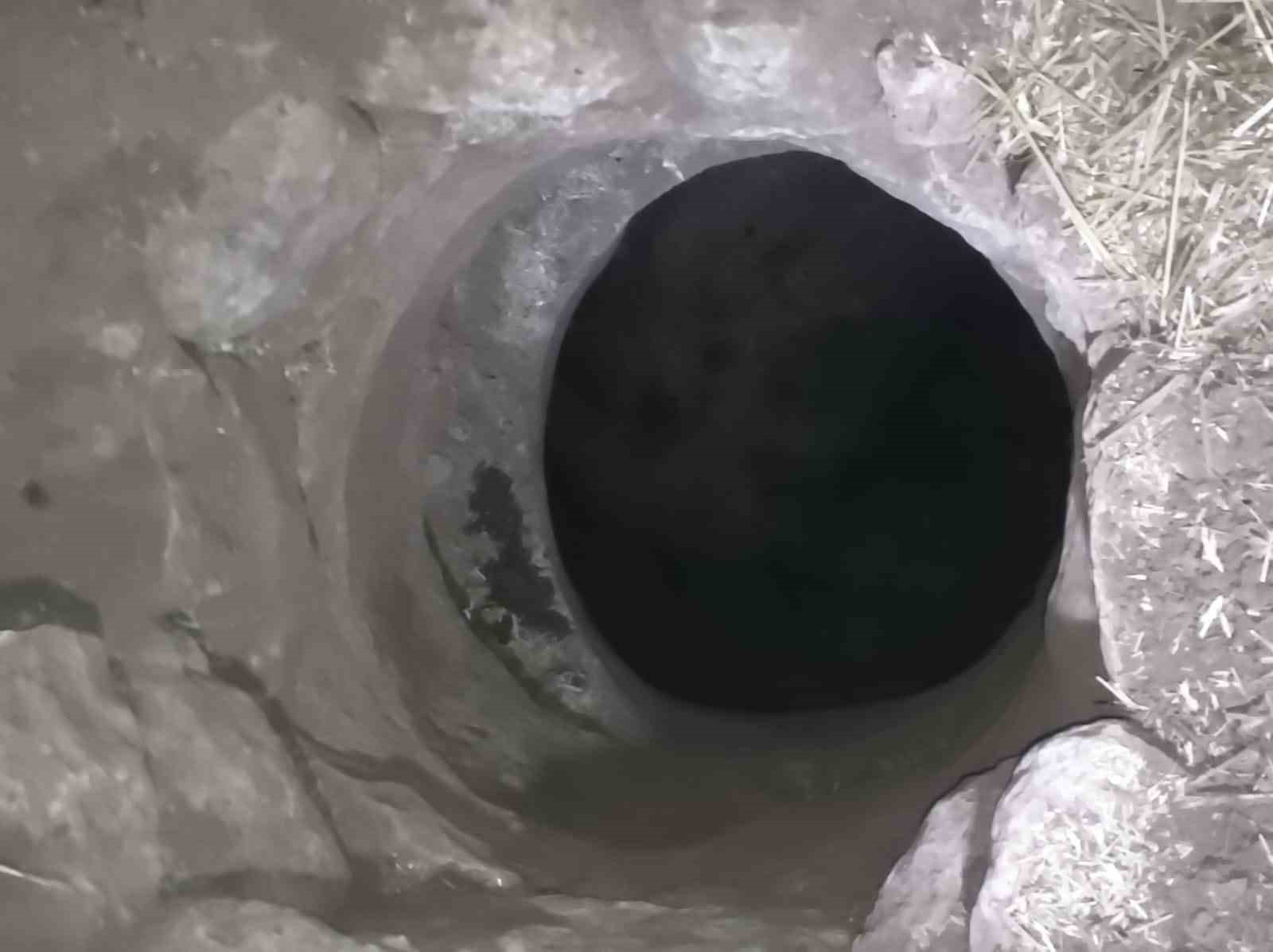 Mardin’de kuyuya düşen keçi kurtarıldı