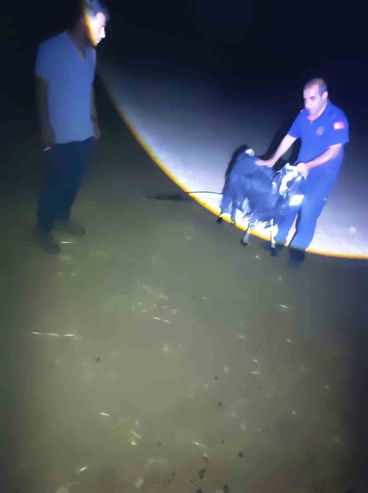 Mardin&rsquo;de kuyuya d&uuml;şen ke&ccedil;i kurtarıldı
