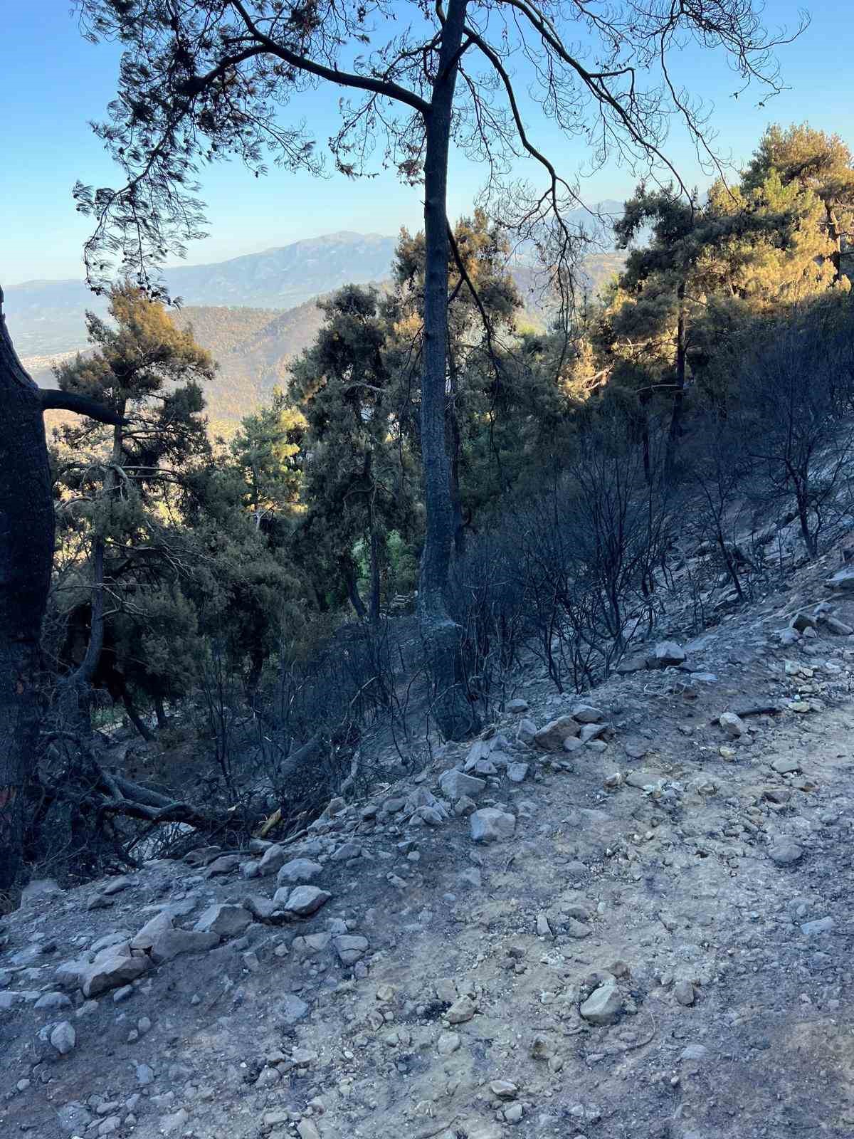Kasapoğlu, yangın bölgesinde incelemelerde bulundu