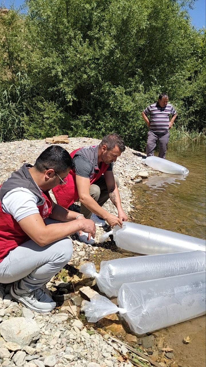 Kozağaç Baraj Gölü’ne 40 bin sazan yavrusu bırakıldı
