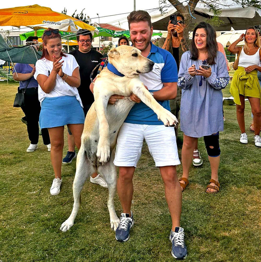 Yangından kurtulan patili dostlara yeni yuva