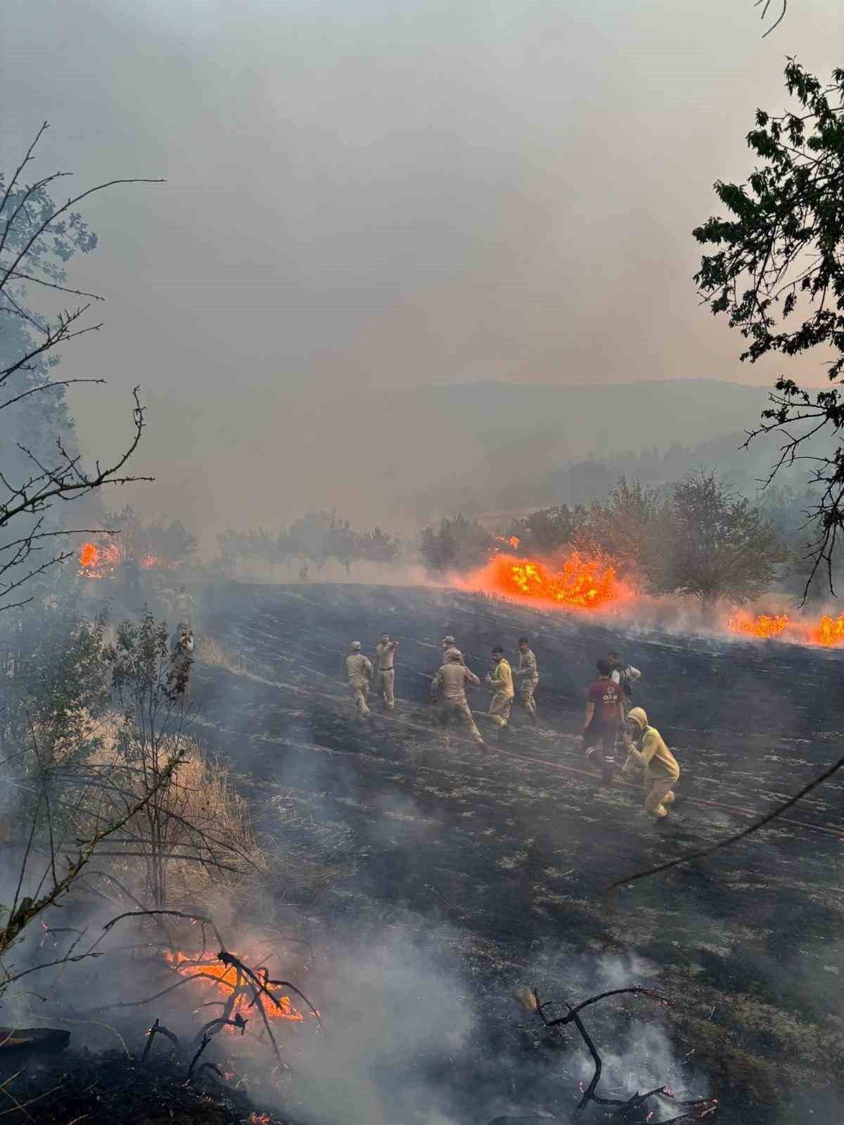 Eskişehir&rsquo;den Bilecik yangınına giden jandarma ekipleri d&ouml;nd&uuml;
