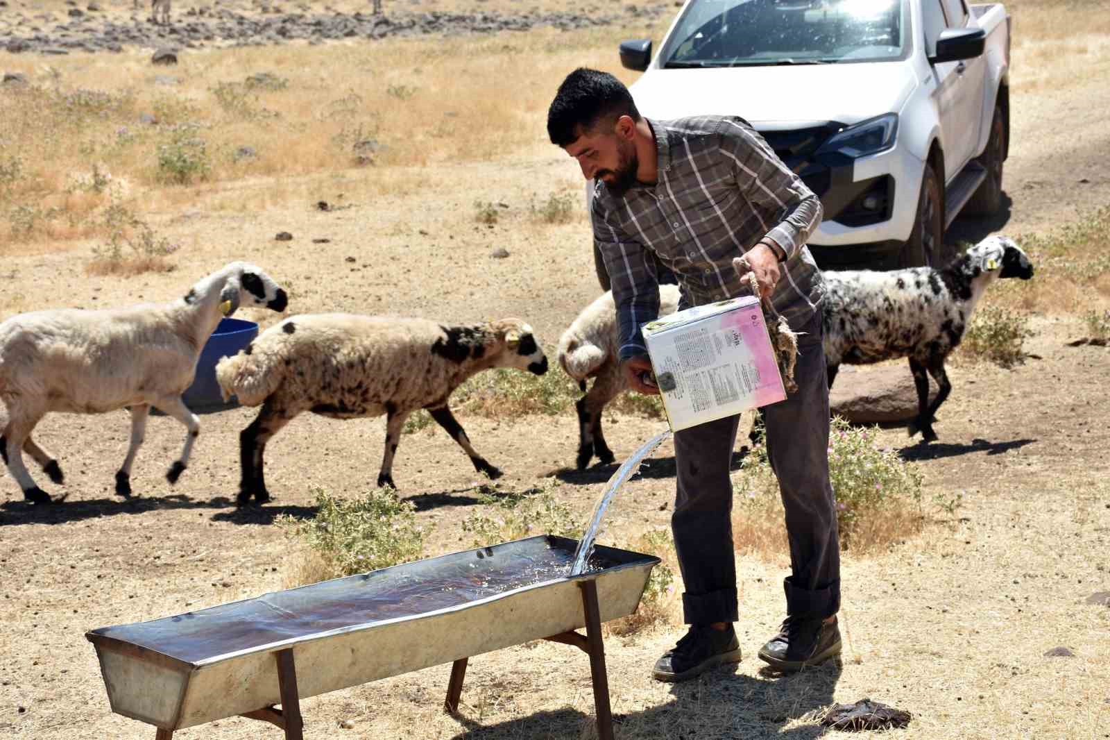 Diyarbakır’da yaylada kalan besicilerin hayvanlarına tankerlerle su taşınıyor
