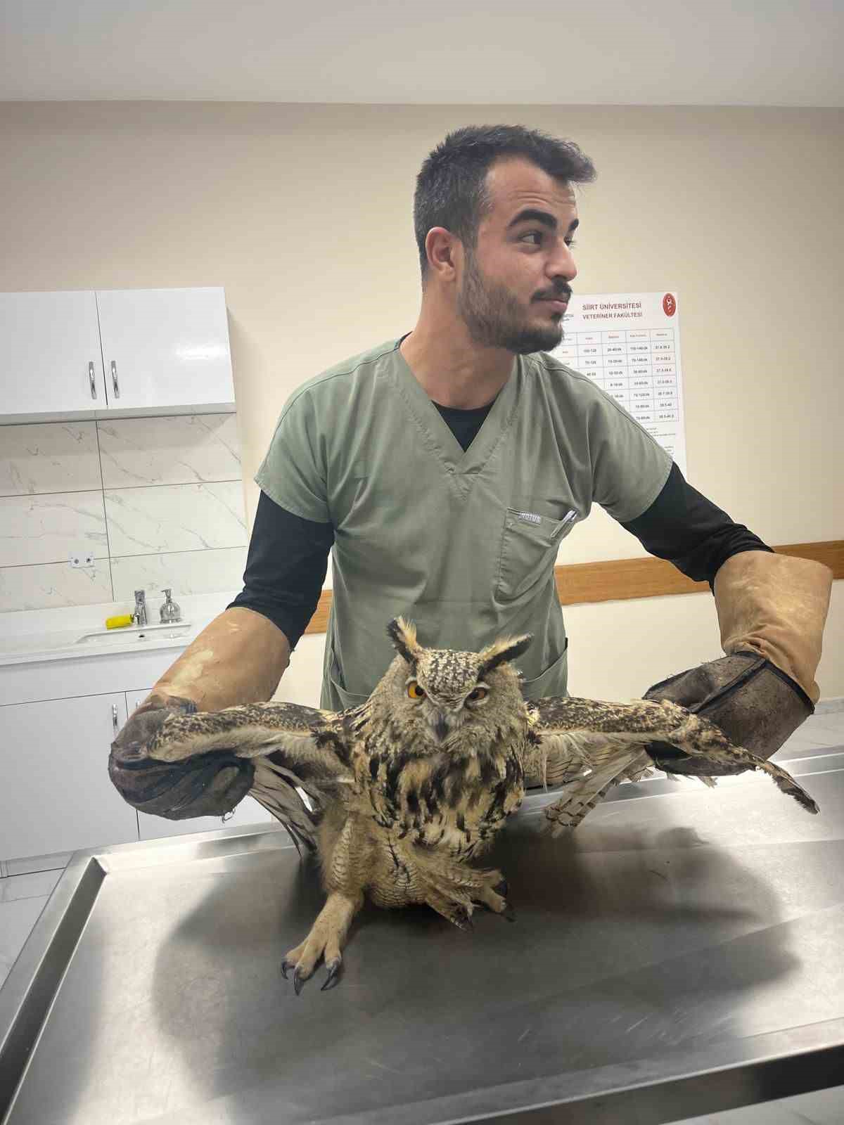 Siirt’te yaralı kuşlar tedavilerinin ardından yaşam alanlarına bırakıldı