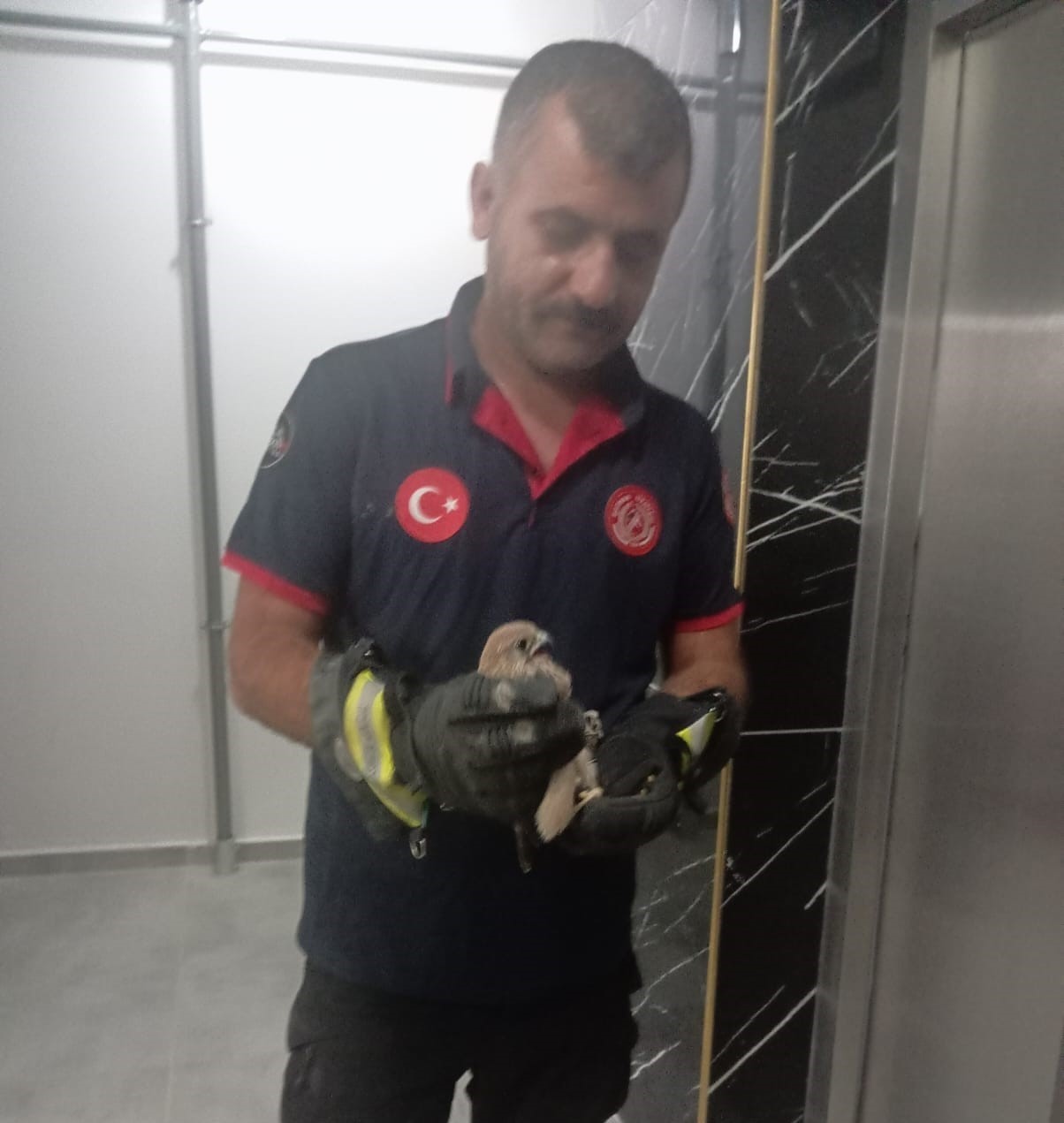 Balkon korkuluğuna sıkışan atmaca itfaiye ekiplerince kurtarıldı