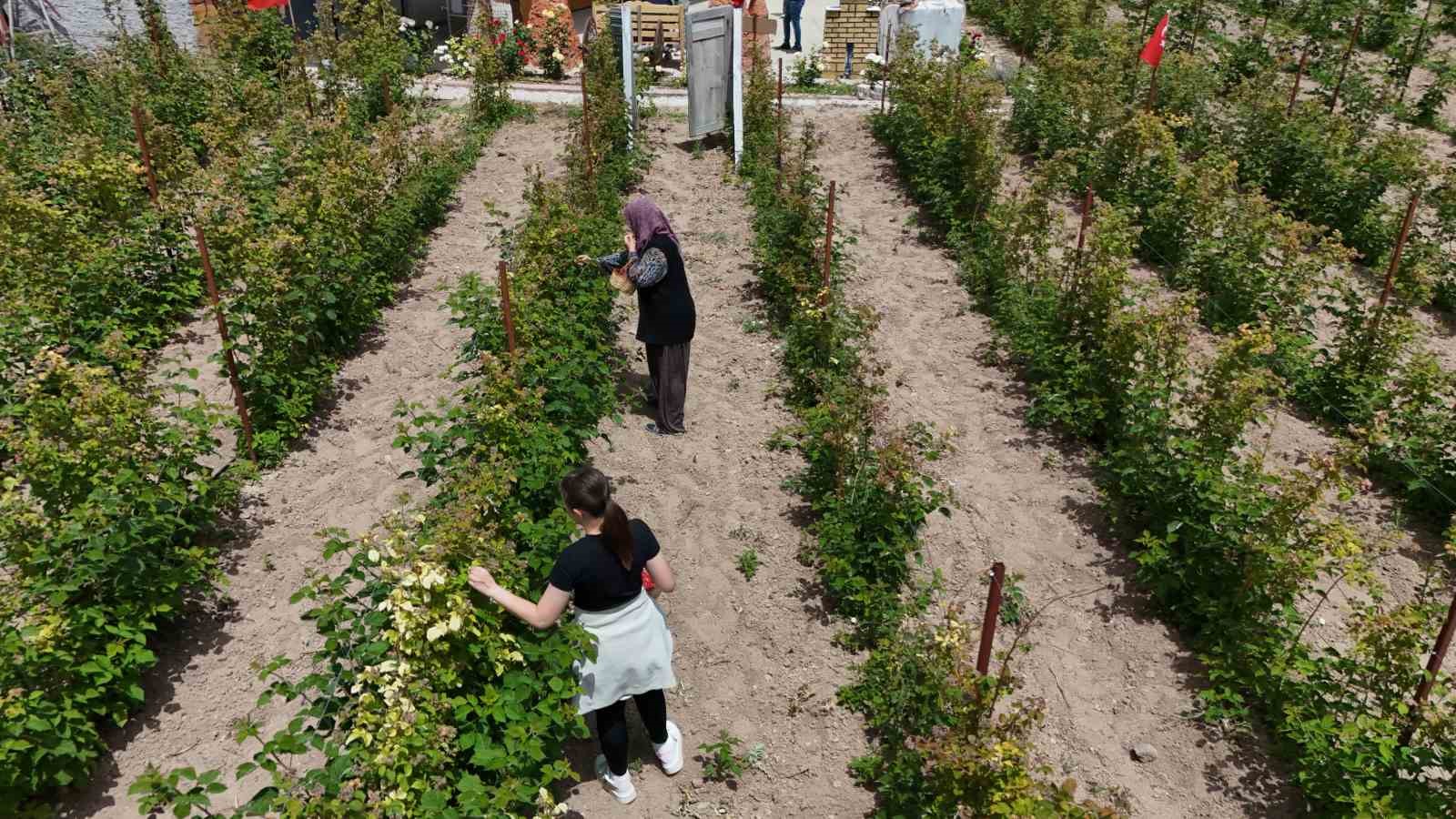 Hobi olarak başladığı işte talebe yetişemiyor

