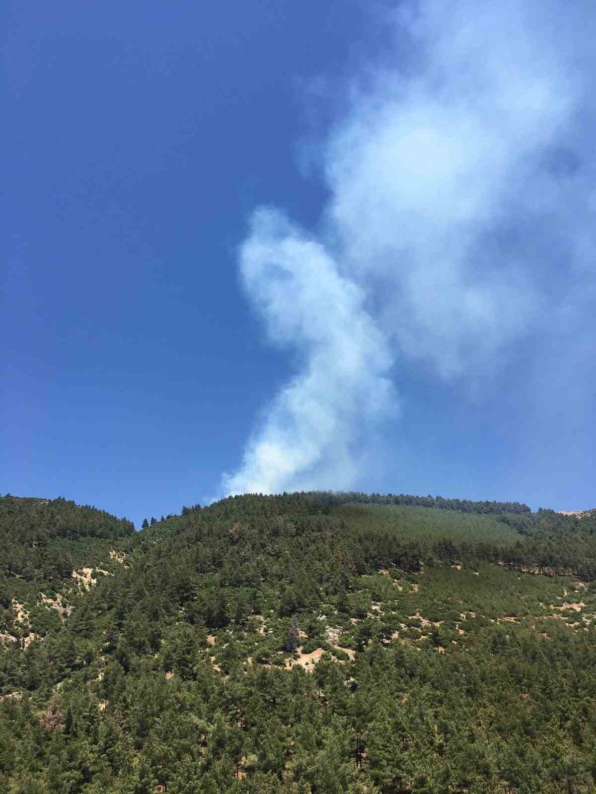 Ahır Dağı’nda bahçe yangını