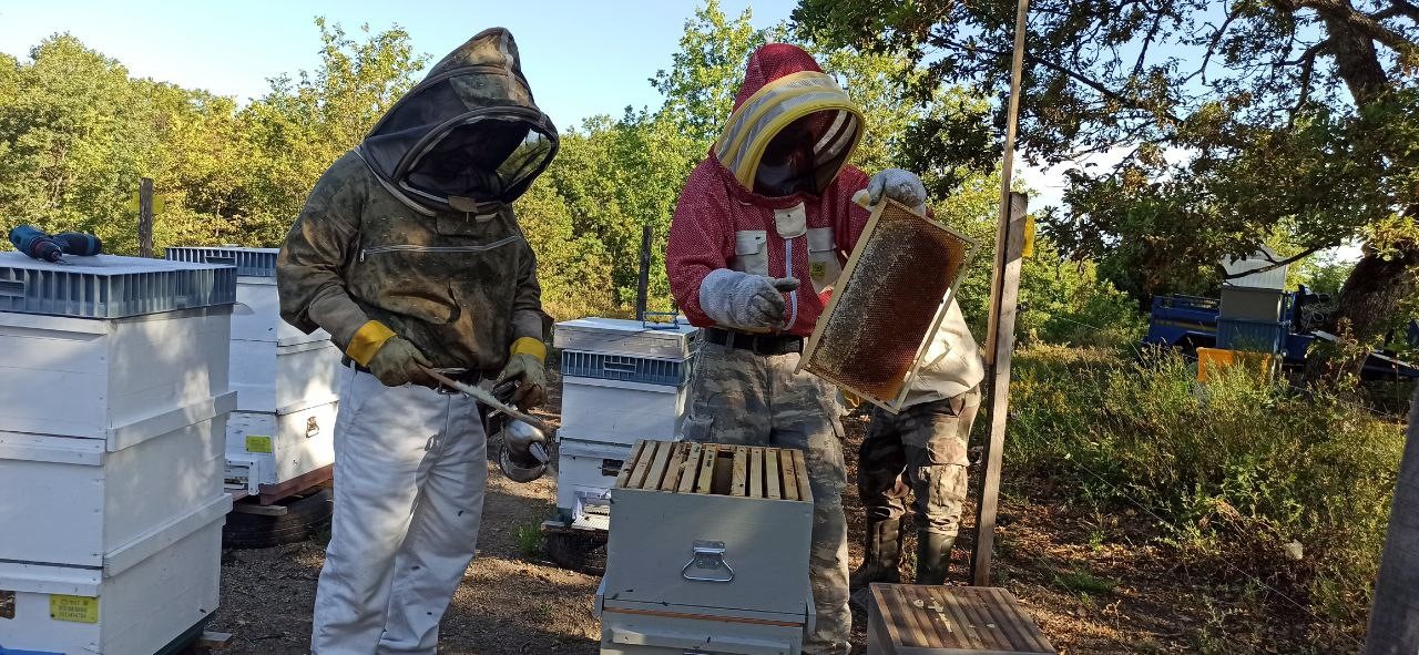 K&ouml;y&uuml;nde &uuml;rettiği balı Avrupa&rsquo;ya pazarlamayı ama&ccedil;lıyor
