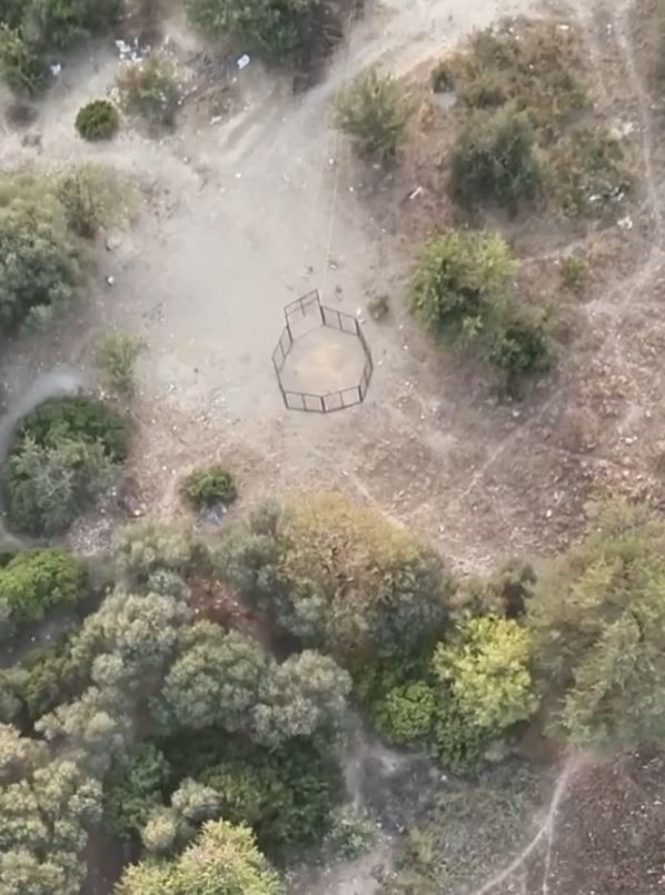 Milli Park&rsquo;ta yaban domuzlarıyla etkin m&uuml;cadele devam ediyor
