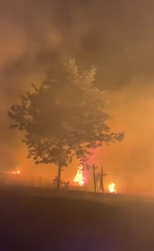 Hassa&rsquo;da ormanlık alanda &ccedil;ıkan yangın kontrol altına alındı
