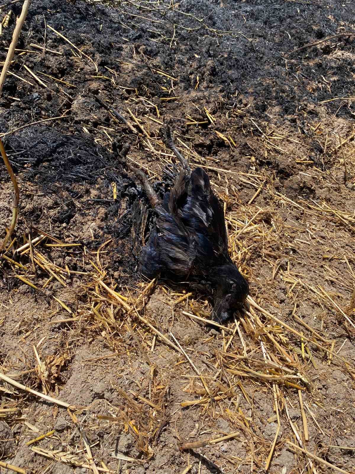 Susurluk&rsquo;ta arazi yangını kontrol altına alındı
