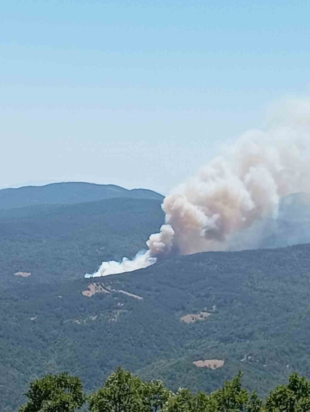 Orman yangınına sebep olan 9 kişi g&ouml;zaltına alındı, bir kişi tutuklandı
