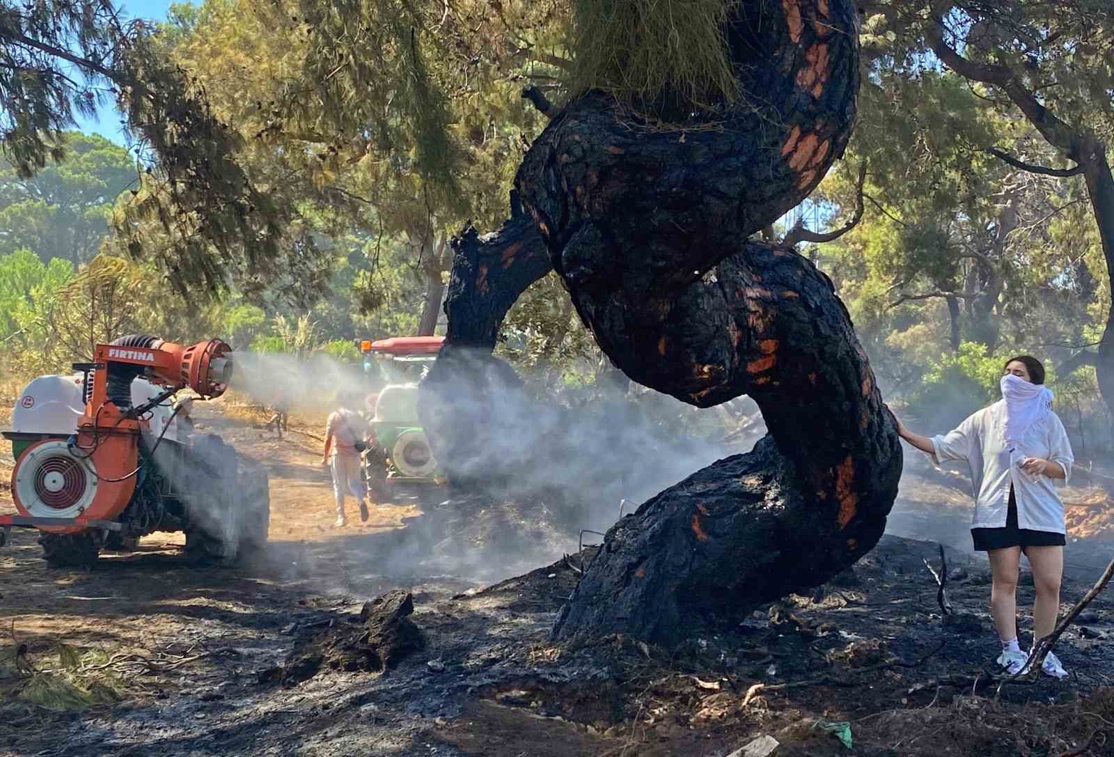 Antalya’daki orman yangınında duygulandıran anlar