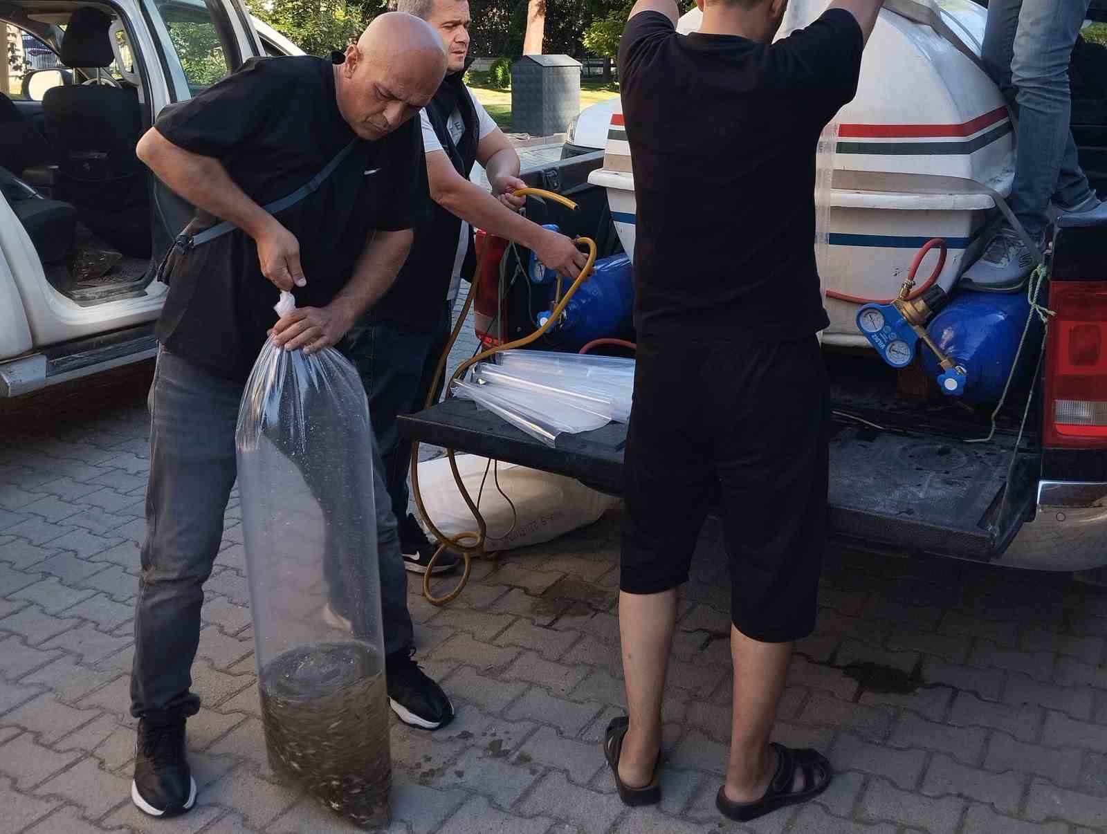 Beyşehir&rsquo;in g&ouml;letlerine yavru sazan takviyesi
