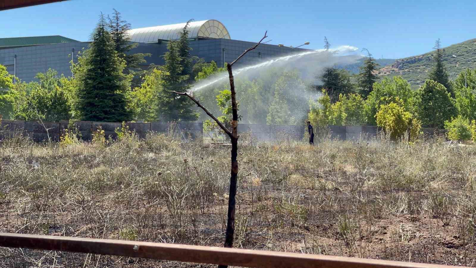 SD&Uuml; Orman Fak&uuml;ltesi yakınlarında yangın korkuttu
