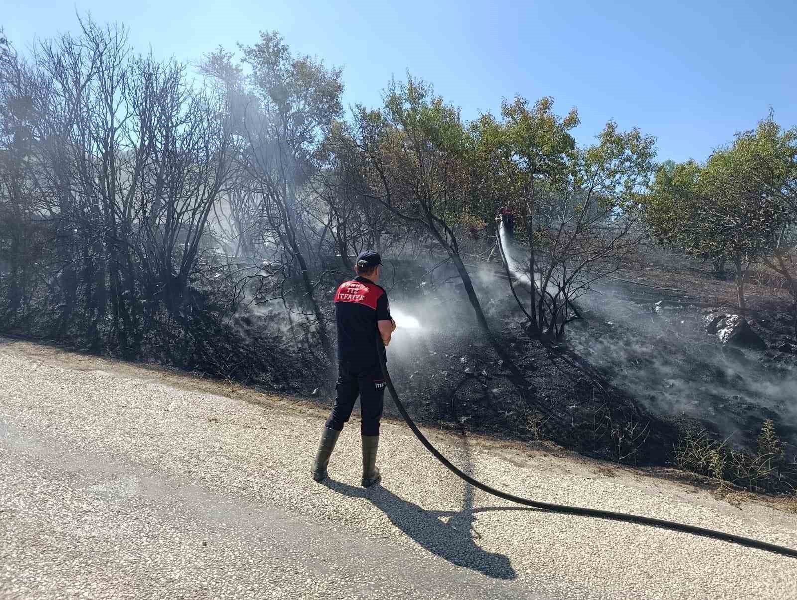 Burdur&rsquo;da ceviz bah&ccedil;esi ve 5 d&ouml;n&uuml;m tarım arazisi yandı
