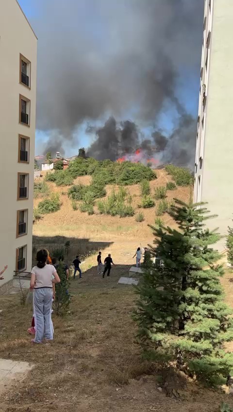 Ağa&ccedil;lık alan ve gecekonduya sı&ccedil;rayan yangın s&ouml;nd&uuml;r&uuml;ld&uuml;
