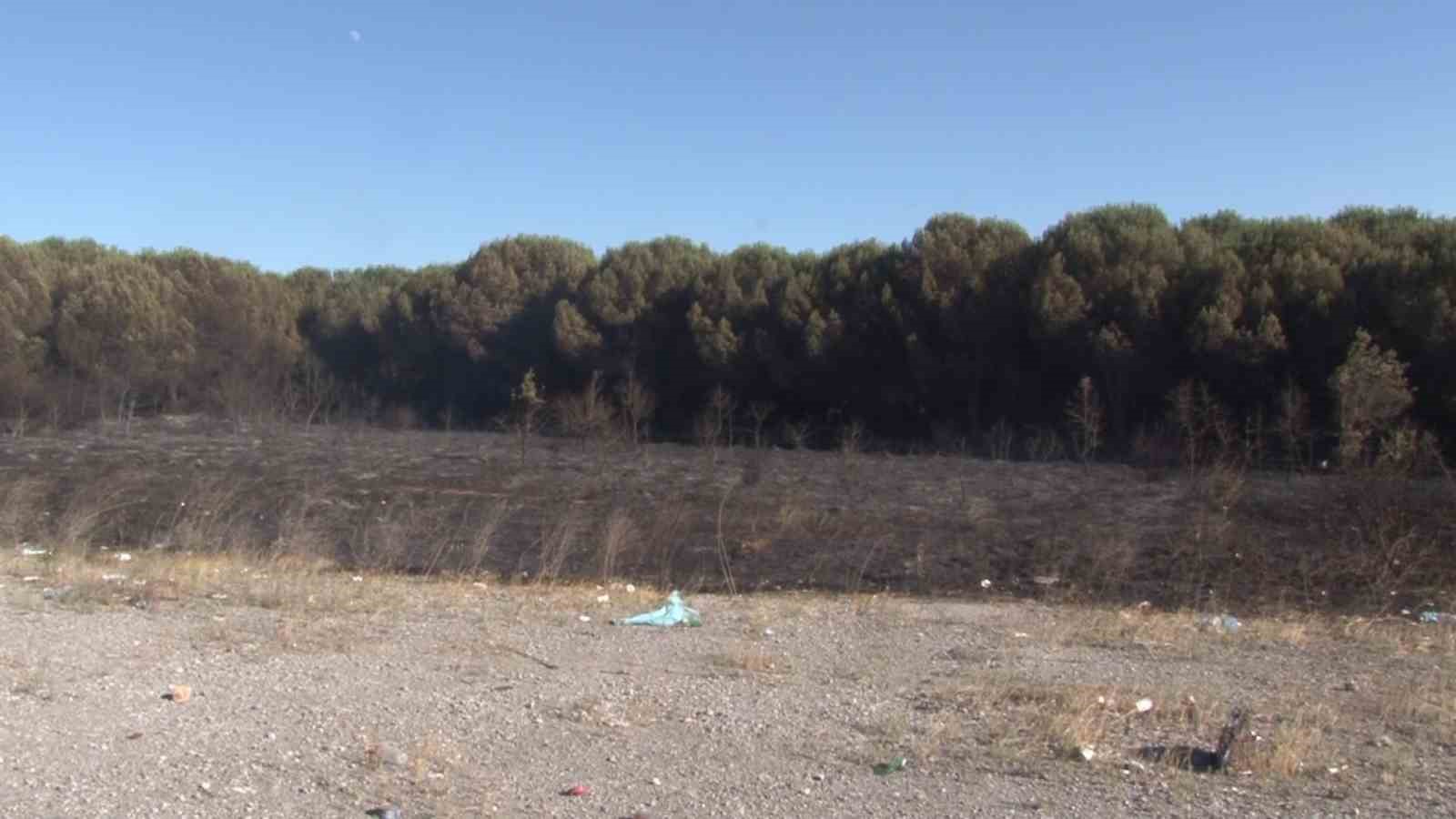 Tuzla’da otluk alanda çıkan yangın ormana sıçramadan söndürüldü