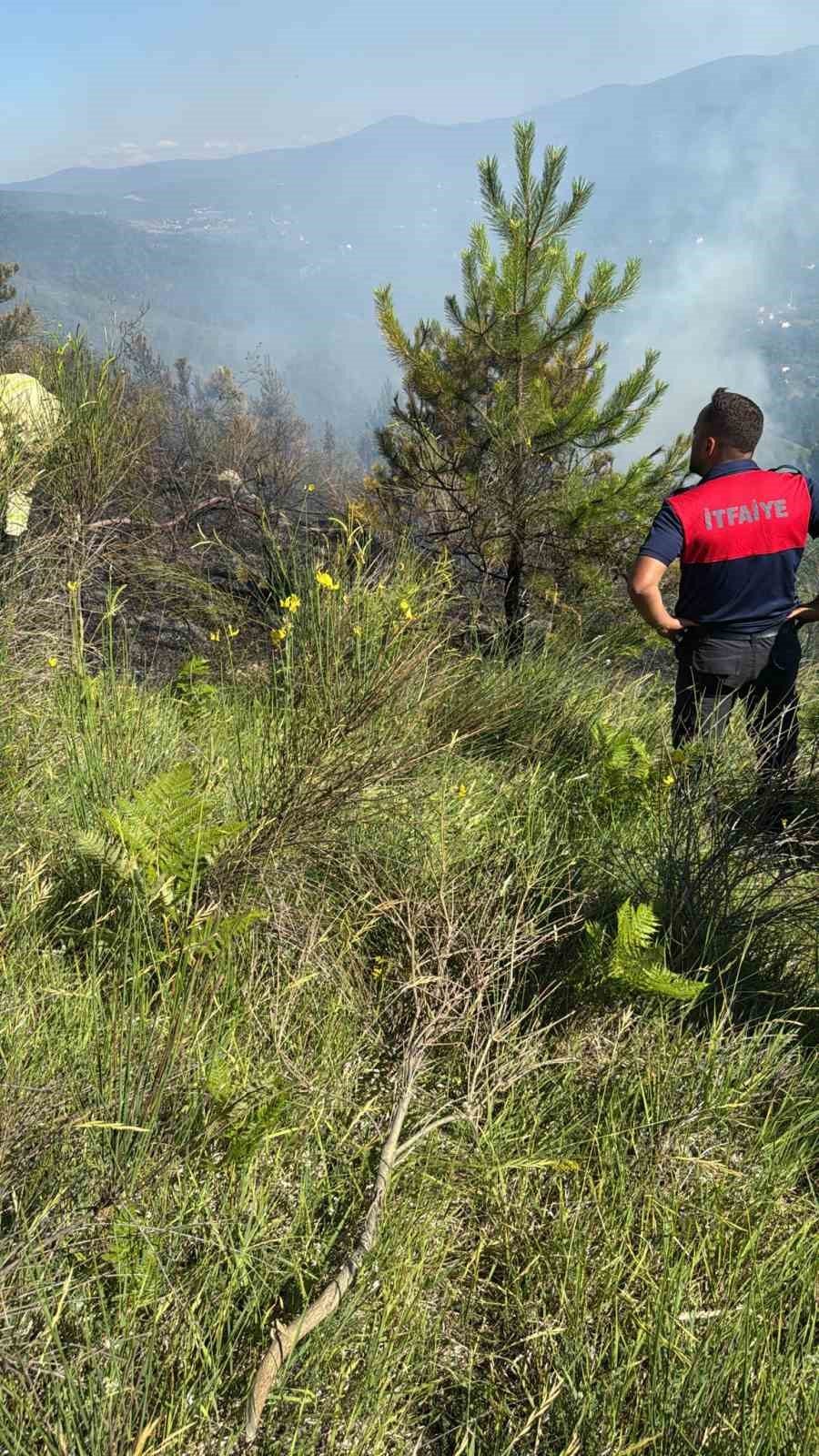Sinop’ta çıkan orman yangını büyümeden söndürüldü