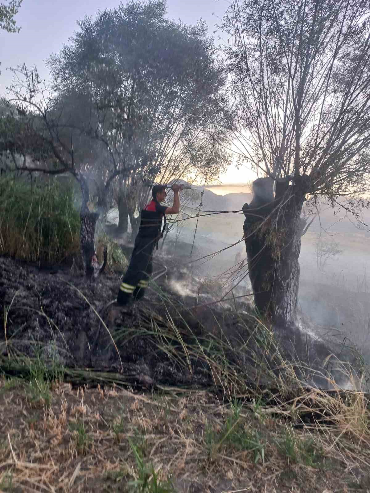 Burdur&rsquo;da trakt&ouml;rden &ccedil;ıkan yangında 5 d&ouml;n&uuml;m arazi k&uuml;l oldu
